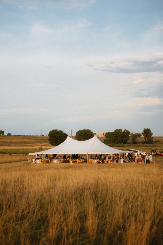 Cadence & Trenton, reception