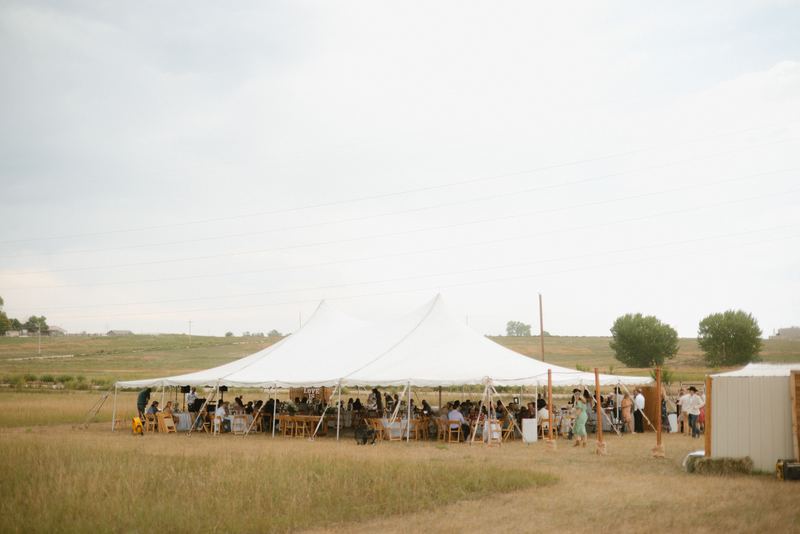 Cadence & Trenton, reception