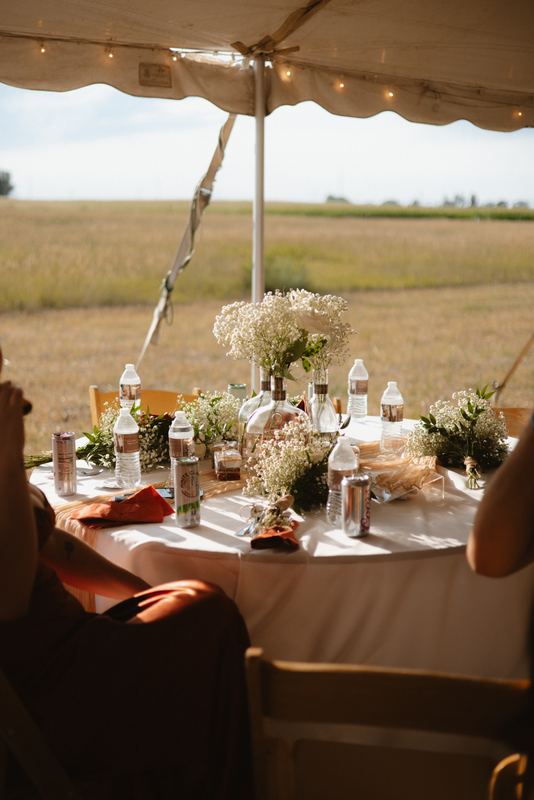 Cadence & Trenton, reception