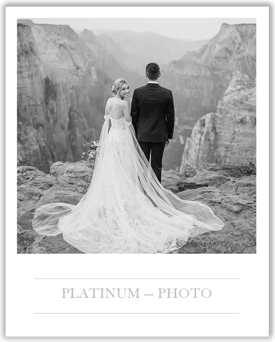 Platinum package